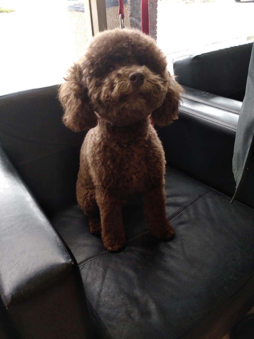 Erin Folk Animal Hospital | 4099 Erin Mills Pkwy #11, Mississauga, ON L5L 3P9, Canada | Phone: (905) 569-3647