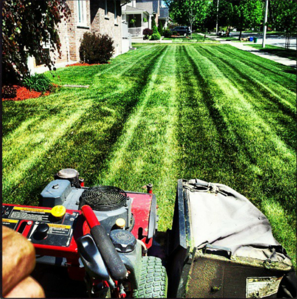 Lawn Fx | 442 Ridge Rd N, Ridgeway, ON L0S 1N0, Canada | Phone: (905) 380-1759