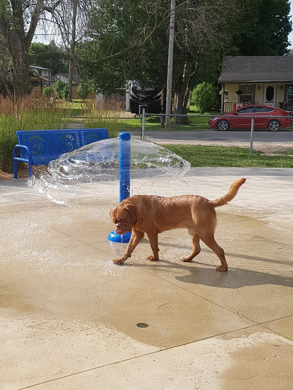 Harold Bishop Park | 13 North Court St W, Norwich, ON N0J 1P0, Canada
