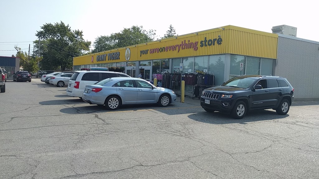 Giant Tiger | 4501 Tecumseh Rd E, Windsor, ON N8W 1K6, Canada | Phone: (519) 944-9848
