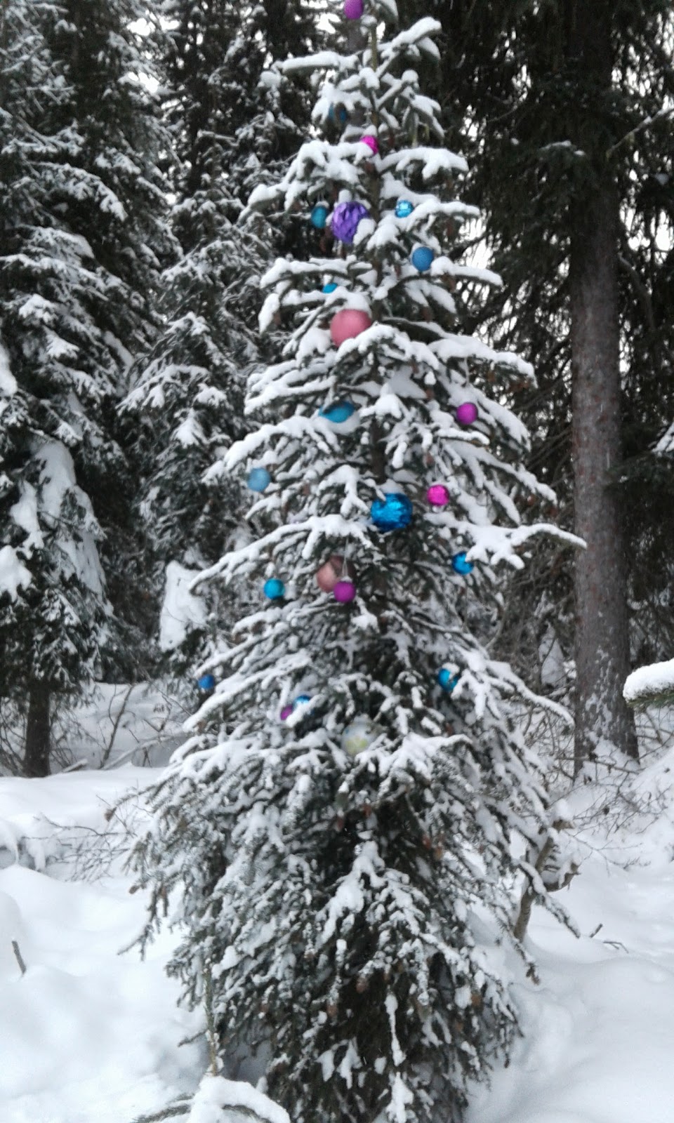 Tourism Sun Peaks | 3250 Village Way, Sun Peaks, BC V0E 5N0, Canada | Phone: (250) 578-5399