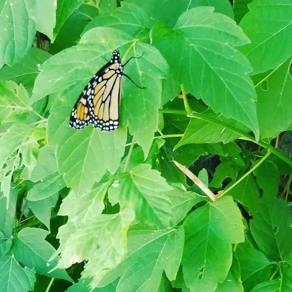 Keenleyside Park | Winnipeg, MB R2K, Canada