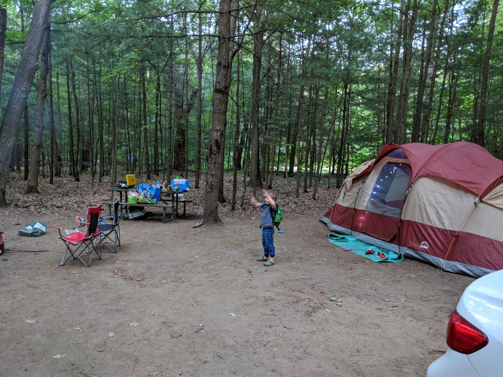 Turtle Campground | Tiny, ON L9M 1R2, Canada | Phone: (705) 549-2231