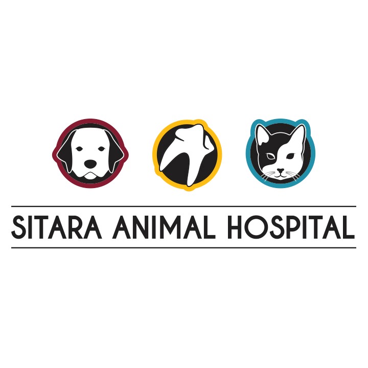 Sitara Animal Hospital | 2611 Stillwater Way #101, Lake Country, BC V4V 2R3, Canada | Phone: (778) 480-6274