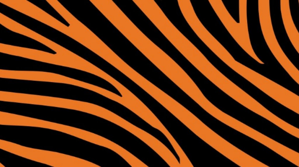 Tiger carpet care | 5495 Orchard Dr, East China, MI 48054, USA | Phone: (810) 420-0341
