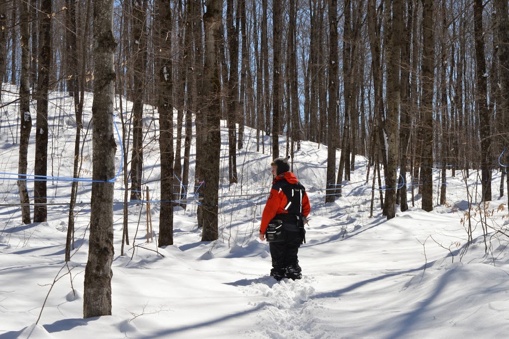 Érablière la coulée Suisse | 145 Chemin de Saint-Armand, Frelighsburg, QC J0J 1C0, Canada | Phone: (514) 717-3845