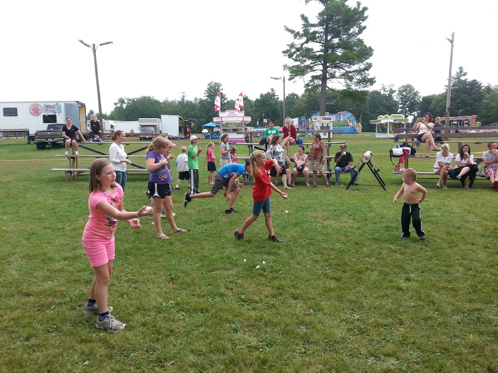 Marmora Arena | 28 Victoria St, Marmora, ON K0K 2M0, Canada | Phone: (613) 472-2410