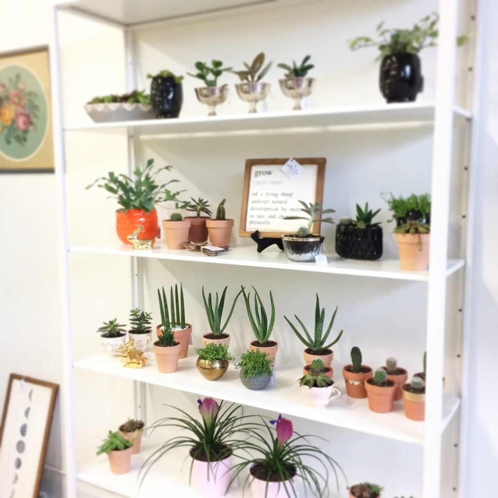 The Local Bloom | 9 Elgin St E, Cobourg, ON K9A 5V2, Canada | Phone: (905) 376-8996