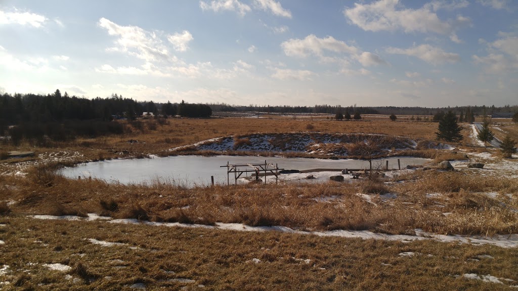New Life Retreat Centre | 453 Dobbie Rd, Lanark, ON K0G 1K0, Canada | Phone: (613) 259-3337