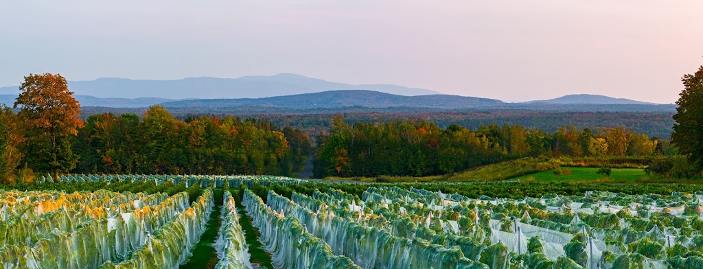 La Belle Alliance | 239 Chemin de Fulford, Shefford, QC J2M 1B2, Canada | Phone: (450) 539-0880