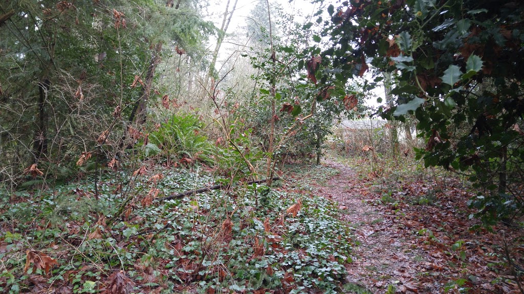 Kaymar Creek Ravine Park | 8050 Kaymar Dr, Burnaby, BC V5J 3N1, Canada