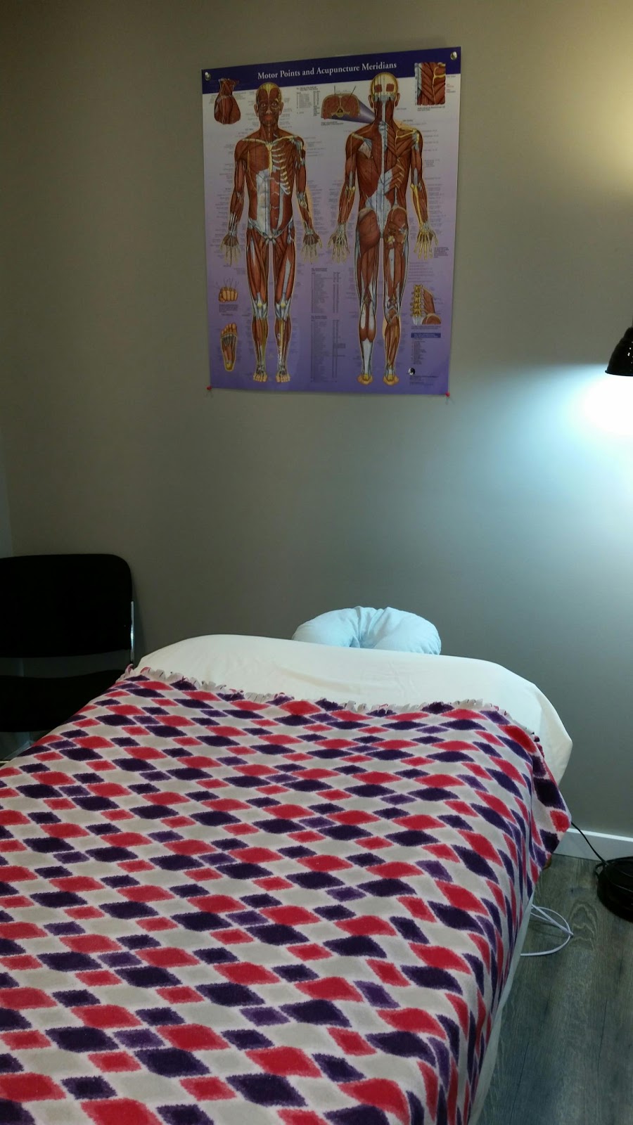 Janis Krause Acupuncture | 358 University Park Dr, Regina, SK S4V 0Y8, Canada | Phone: (306) 921-0084