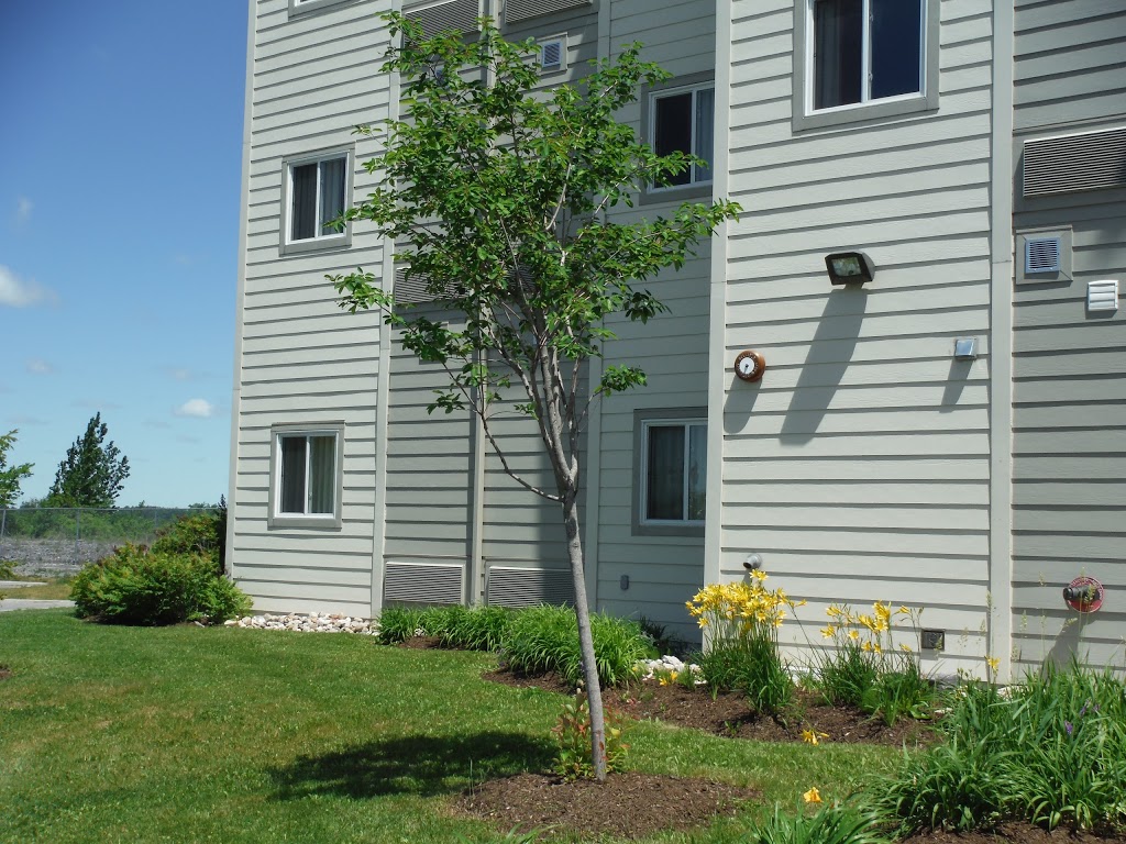 Motel 6 | 1542 Robinson Court, Kingston, ON K7P 0K4, Canada | Phone: (613) 507-6666