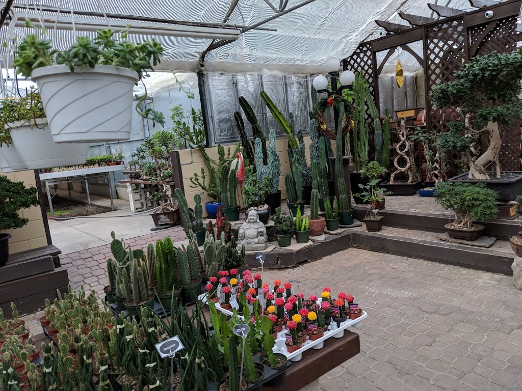 Tropical Expressions | 22 E 25th St, Hamilton, ON L8V 3A1, Canada | Phone: (905) 387-3330