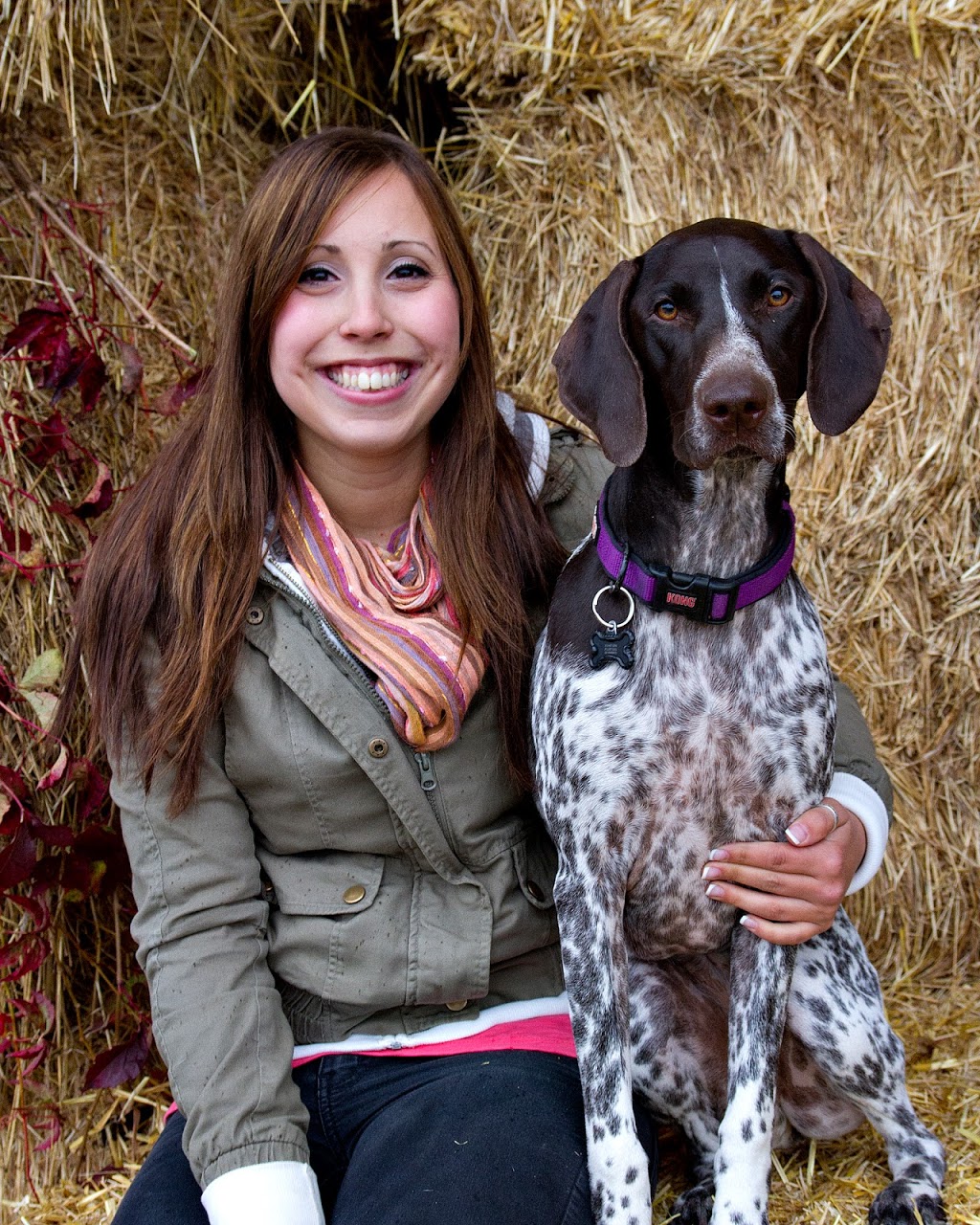 Mississippi Veterinary Services | 2809 County Rd No 29, Pakenham, ON K0A 2X0, Canada | Phone: (613) 624-5554