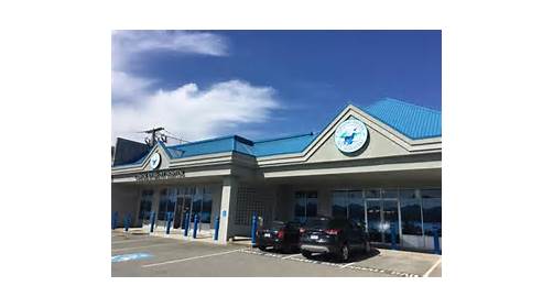 Coastal Rivers Pet Hospital | 1993 Riverside Rd, Abbotsford, BC V2S 4J8, Canada | Phone: (604) 425-1900