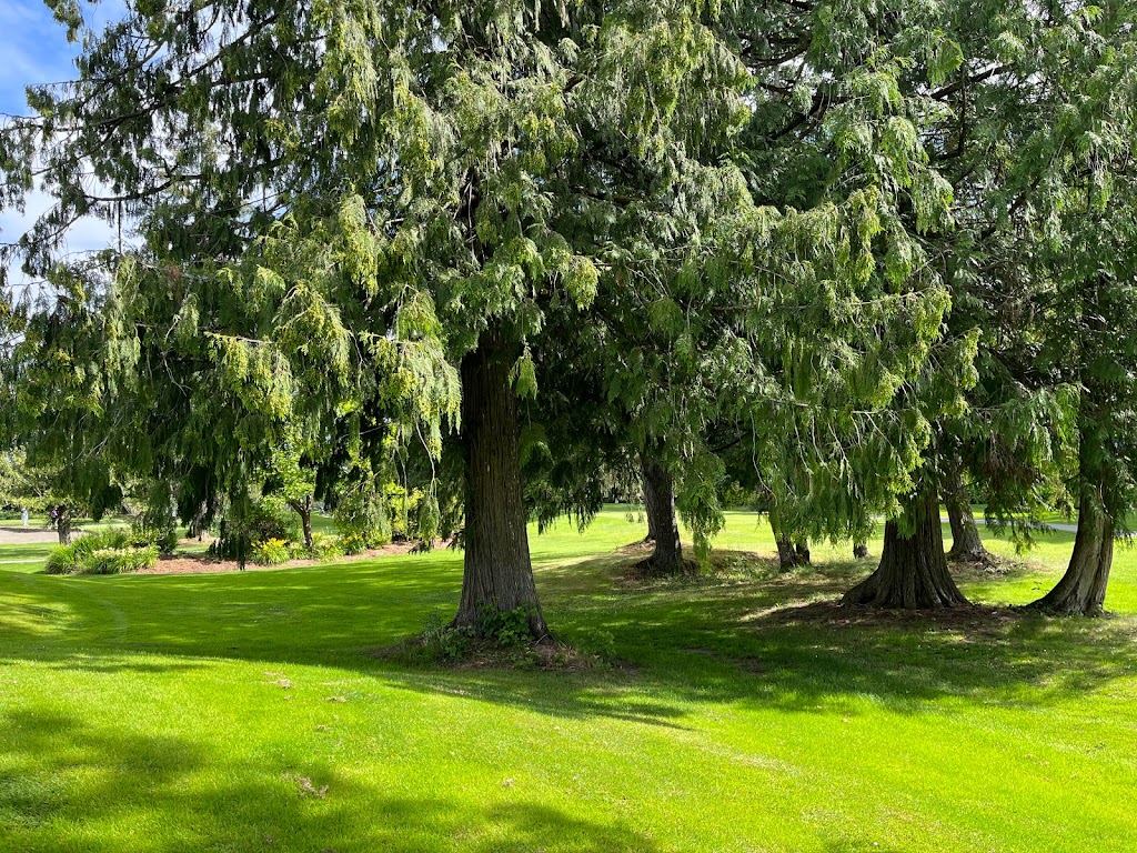 Cowichan Golf Club | 4955 Trans-Canada Hwy, Duncan, BC V9L 3X1, Canada | Phone: (250) 746-5333