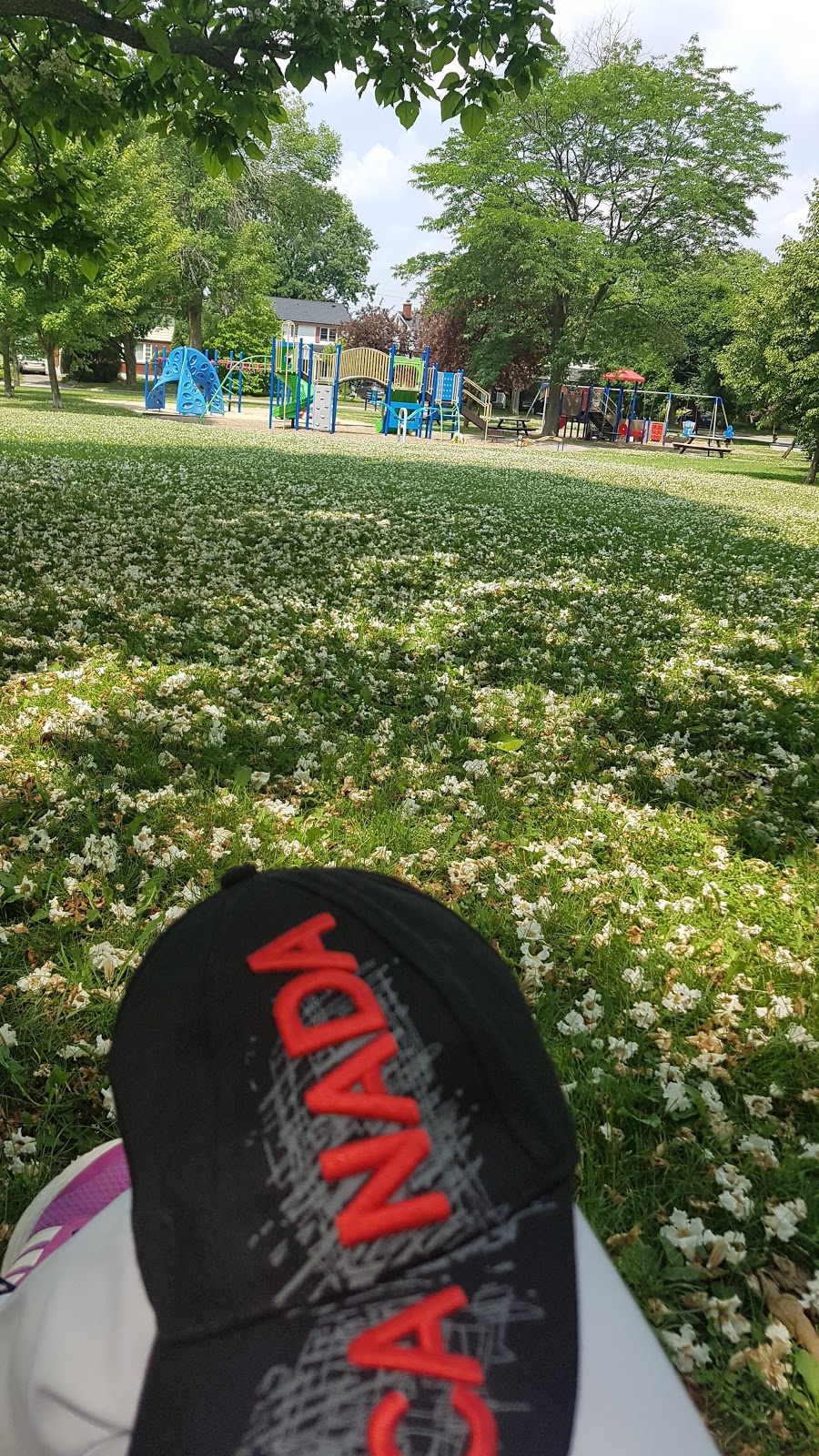 Applewood Park | 134 Begonia Ave, Ottawa, ON K1H, Canada