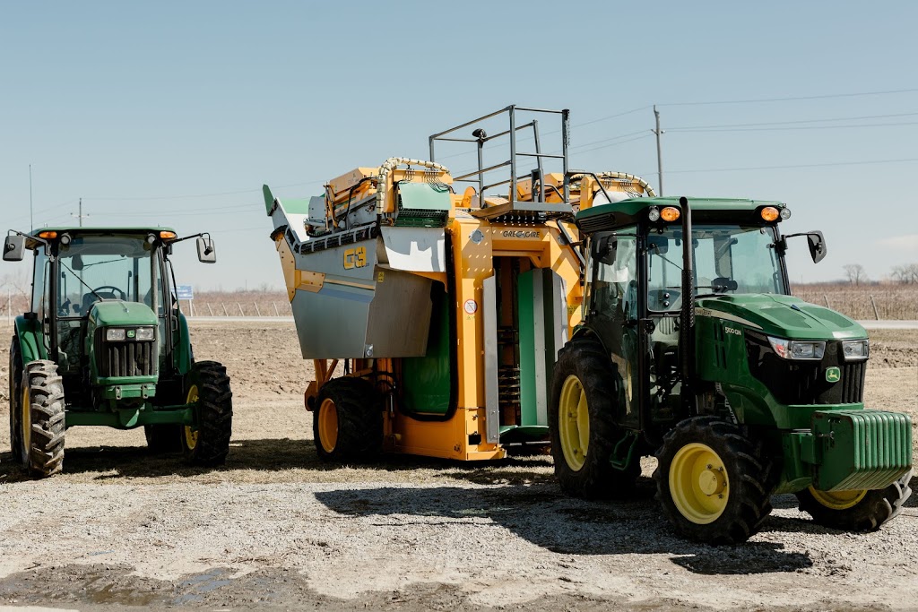 Lakeview Vineyard Equipment | 40 Lakeshore Rd, Niagara-on-the-Lake, ON L0S 1J0, Canada | Phone: (905) 646-8085