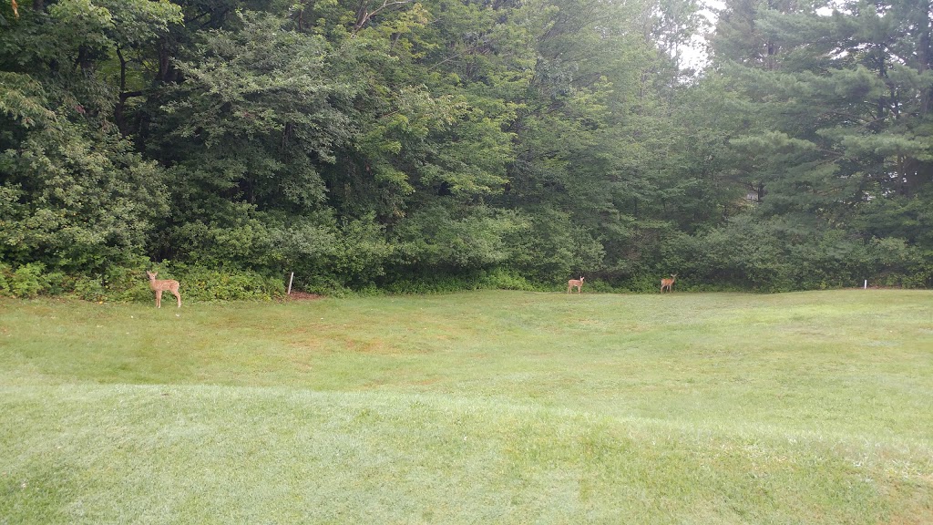 Lennoxville Golf Club | 19 Rue du Golf, Sherbrooke, QC J1M 2E6, Canada | Phone: (819) 562-4922