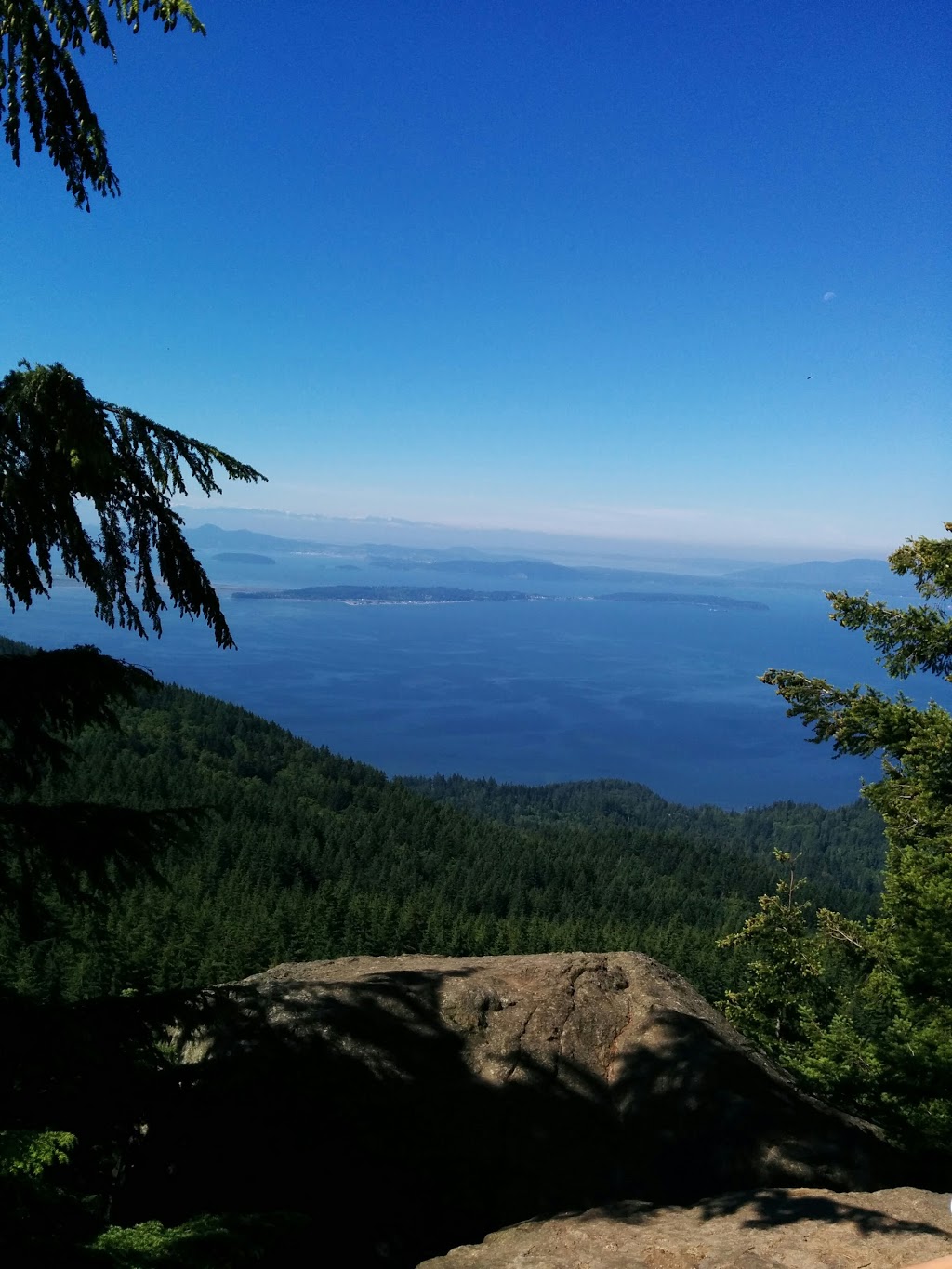 Oyster Dome | 11571 Blue Heron Rd, Bow, WA 98232, USA