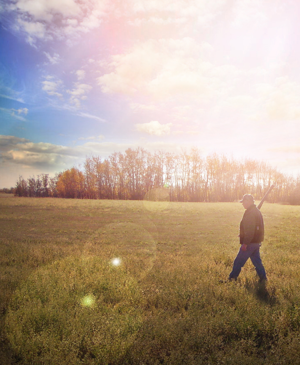 Lakeshore Pheasant Ranch/Farm | Box 62 Byemoor, Byemoor, AB T0J 0L0, Canada | Phone: (403) 741-2148
