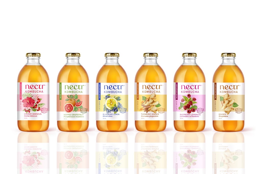Nectr Kombucha | 2049 Little Hawk Lake Rd, Algonquin Highlands, ON K0M 1J2, Canada | Phone: (705) 854-2158