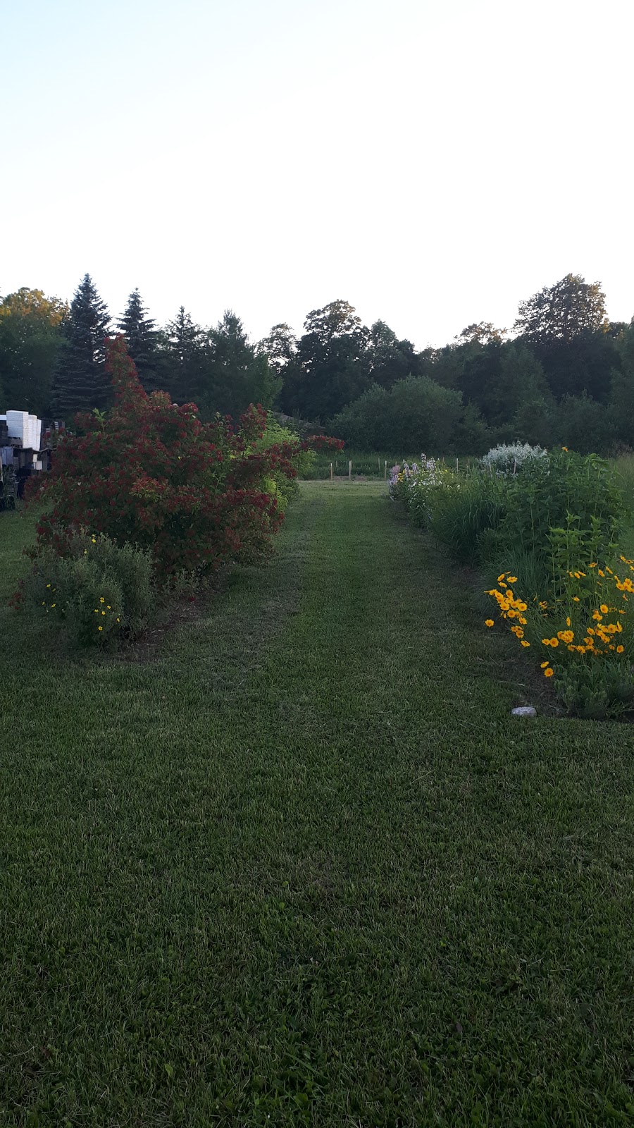 Green Side Up Environmental Services | 121 Grassy Rd, Omemee, ON K0L 2W0, Canada | Phone: (289) 892-2827