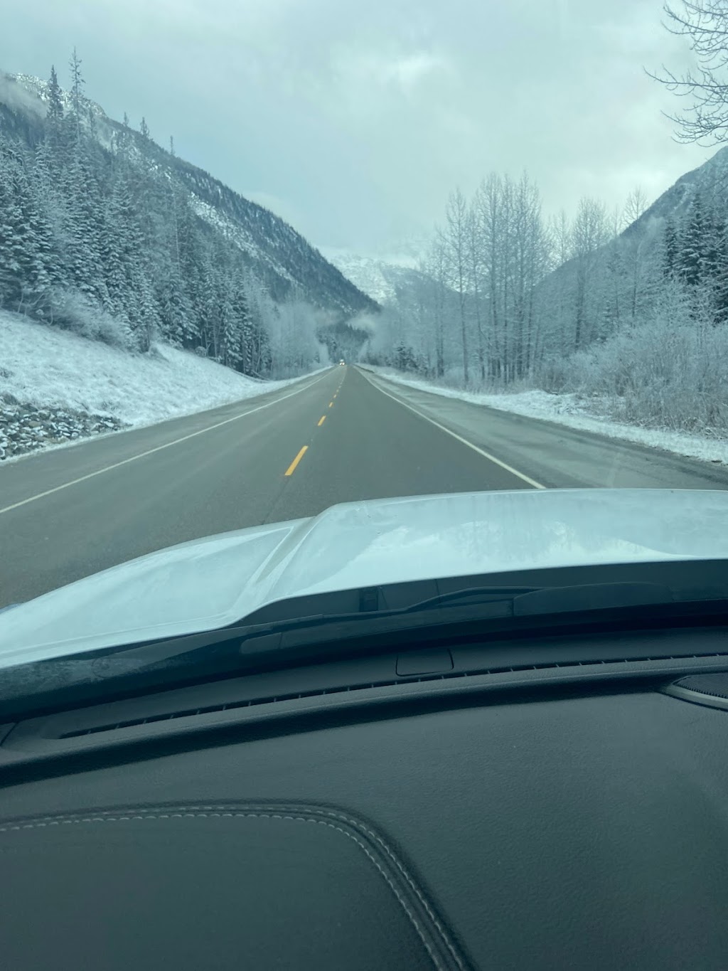 Ridgeview stables and Hauling | 11860 Ladner Trunk Rd, Delta, BC V4E 1A6, Canada | Phone: (778) 837-3038
