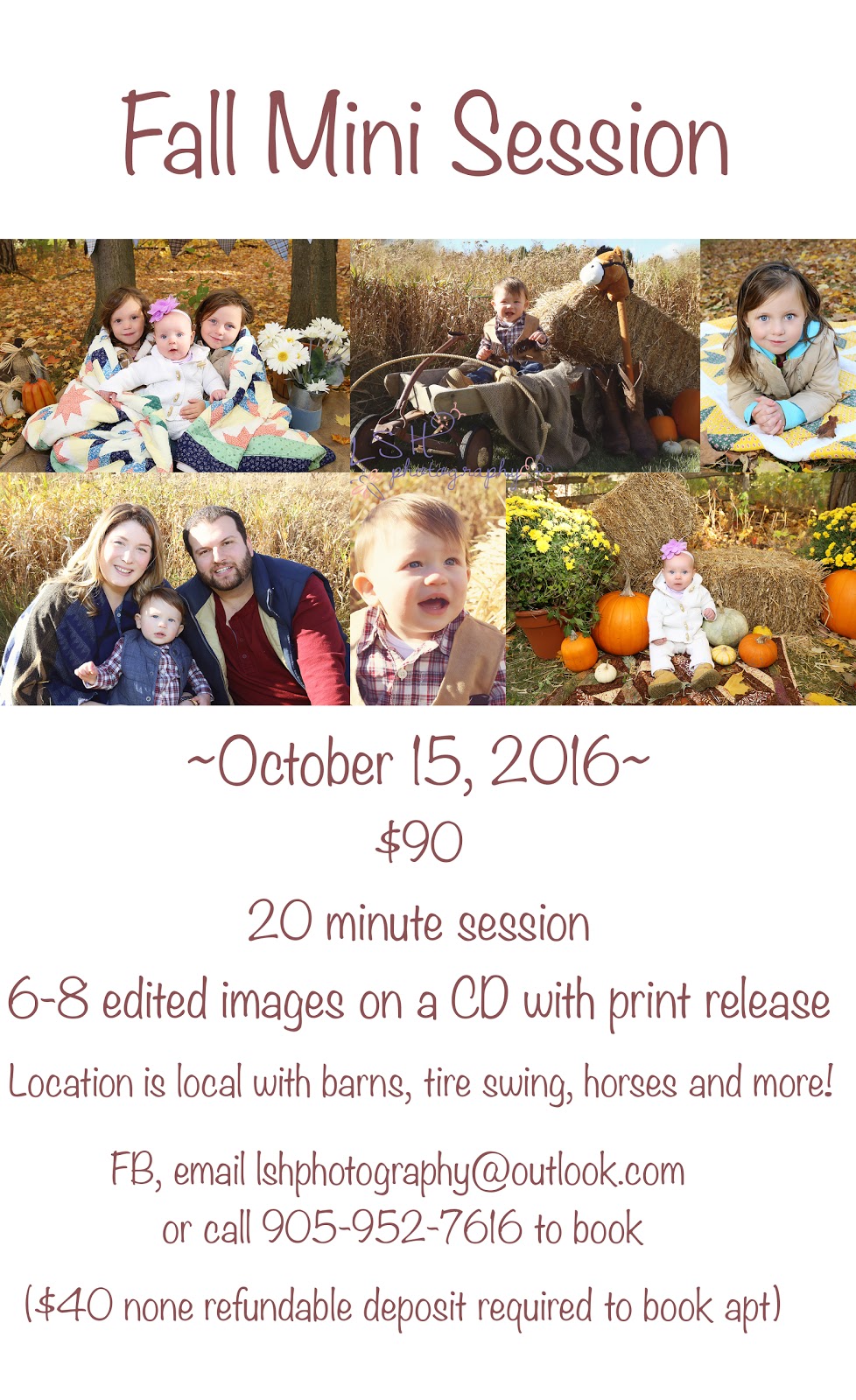 LSH PHOTOGRAPHY | 476 King St E, Mount Albert, ON L0G 1M0, Canada | Phone: (905) 952-7616