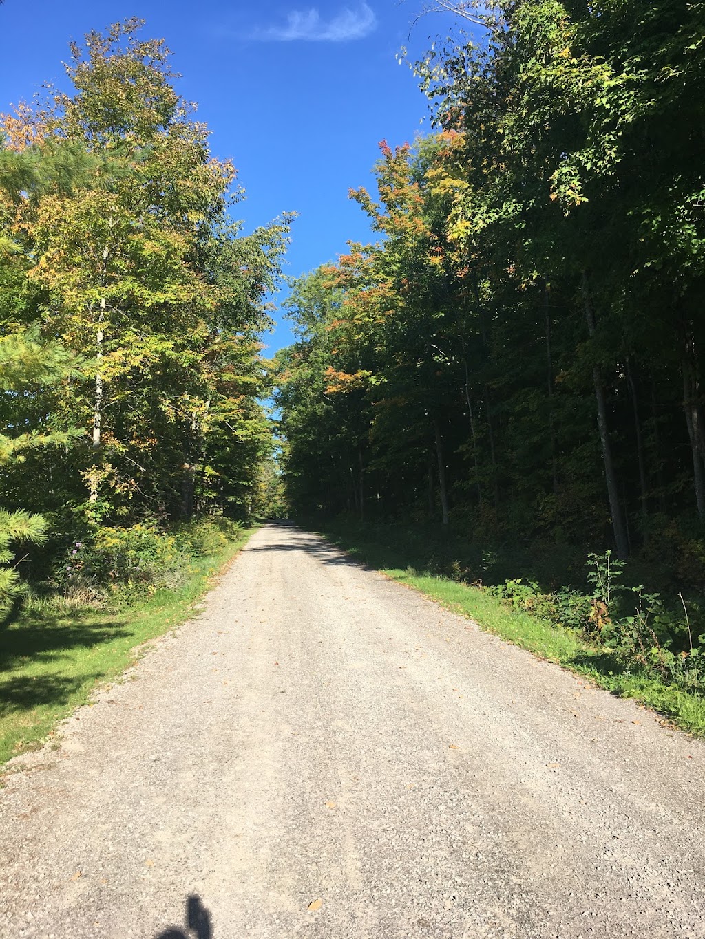 Country Bee Hives Inc | 836 Huff Rd, Marmora, ON K0K 2M0, Canada | Phone: (647) 704-0973