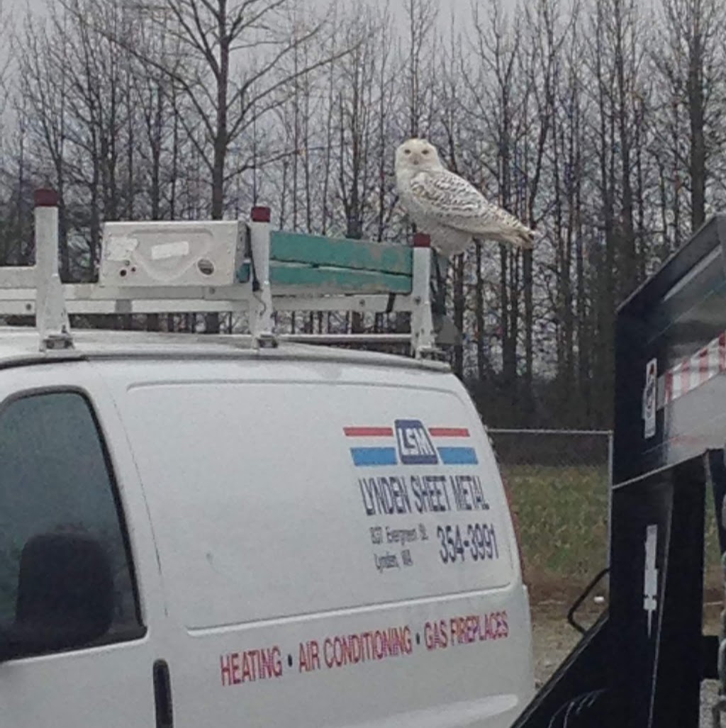 Lynden Sheet Metal Inc. | 837 Evergreen St, Lynden, WA 98264, USA | Phone: (360) 354-3991