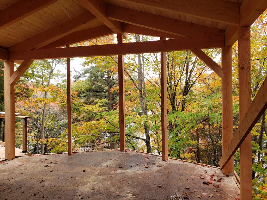 Blue Lion Construction | 384 A Chatham St, Brantford, ON N3S 4J1, Canada | Phone: (647) 901-6854