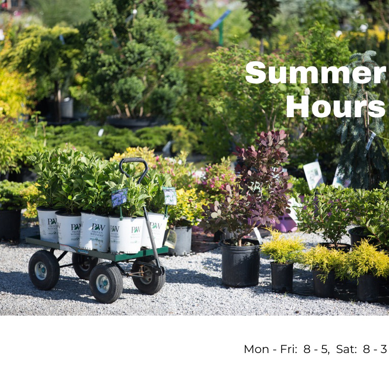 Floods Nursery Farm | 3641 County Road, 31 Albuna Townline, Ruthven, ON N0P 2G0, Canada | Phone: (519) 326-8790