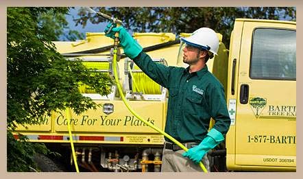 Bartlett Tree Experts | 1218 Rosewarne Dr, Bracebridge, ON P1L 0A1, Canada | Phone: (705) 646-8733