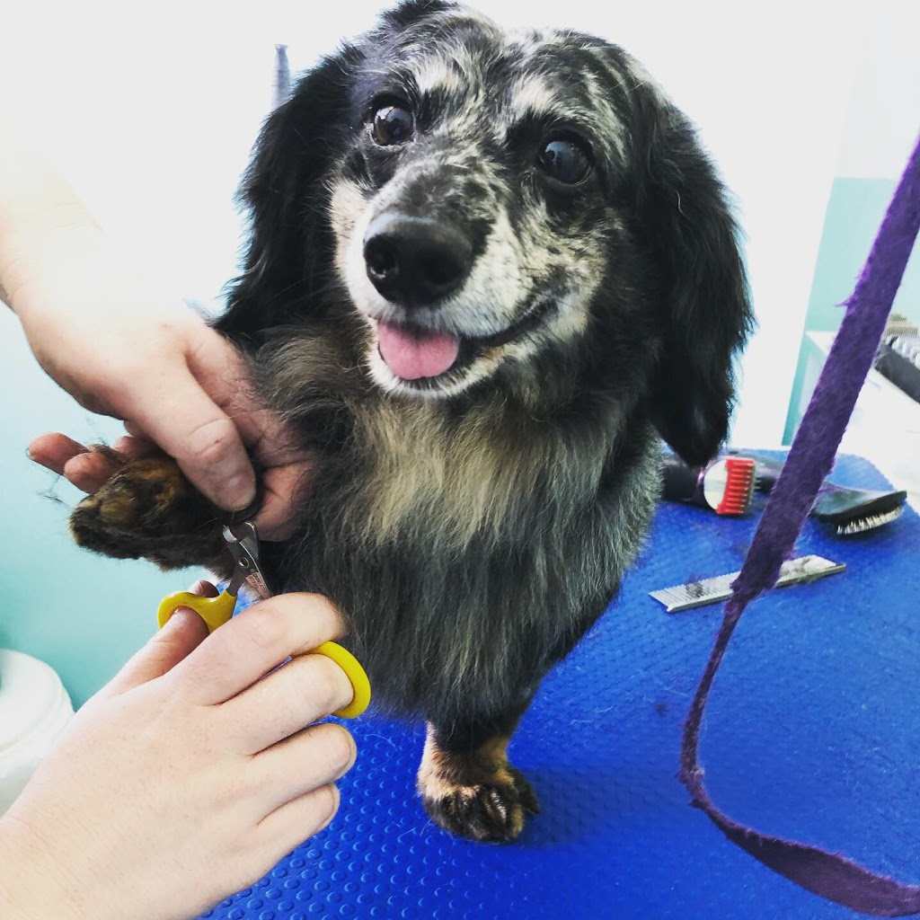Bluffs Dog Grooming/Kristy’s Mutt Cutts | 2430 Kingston Rd, Scarborough, ON M1N 1V3, Canada | Phone: (416) 261-9855