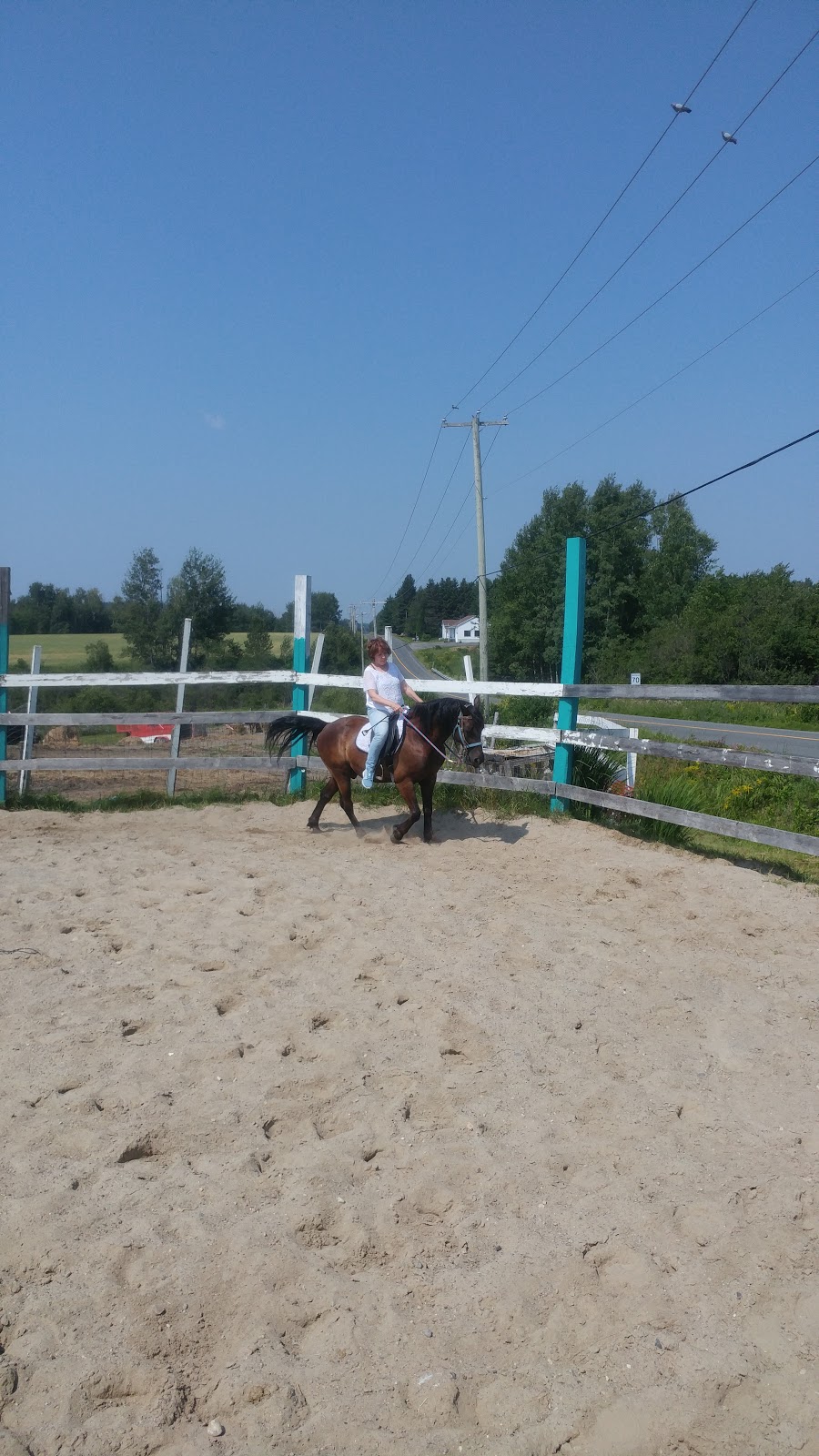 Centre Equi-Nature | 276 Rue Principale, Saint-Nazaire, QC G0W 2V0, Canada | Phone: (418) 669-3427