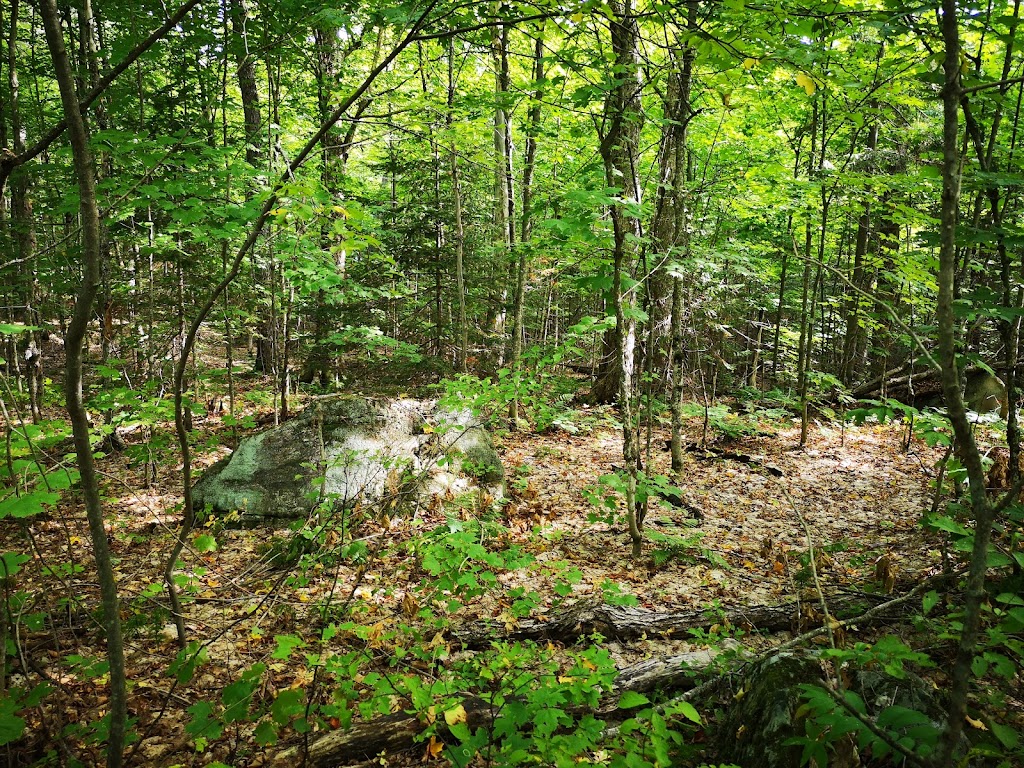 Mikisew Provincial Park | 301 Park Rd S, South River, ON P0A 1X0, Canada | Phone: (705) 386-7762