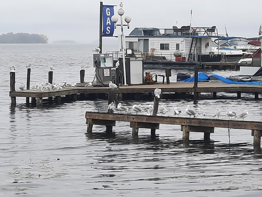 Gores Landing Park And Marina | 5268 Rice Lake Scenic Dr, Gores Landing, ON K0K 2E0, Canada | Phone: (905) 686-8905