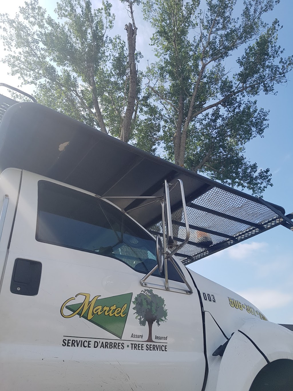 Martel Tree Service | 40 Teesdale St, Moncton, NB E1A 5K5, Canada | Phone: (506) 387-7342