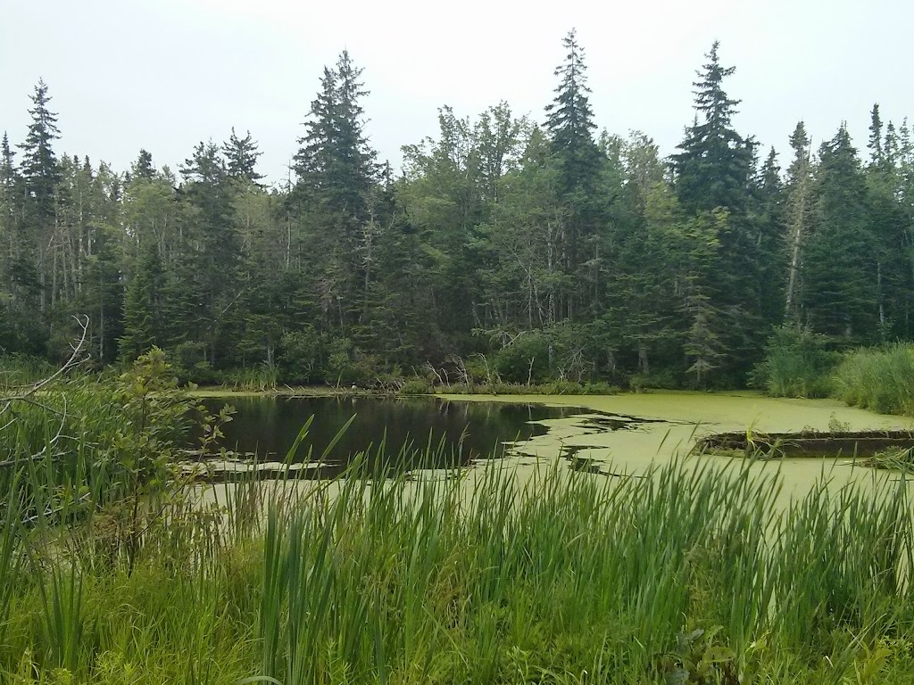 Souris Striders Ski Lodge | Souris Line Rd, Souris, PE C0A 2B0, Canada | Phone: (902) 687-1321