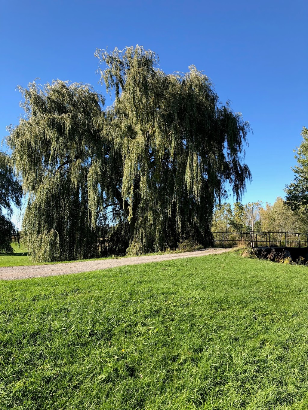 Crescent Hill Acres | 5223 Douglas Line, Plympton-Wyoming, ON N0N 1J5, Canada | Phone: (519) 318-2976