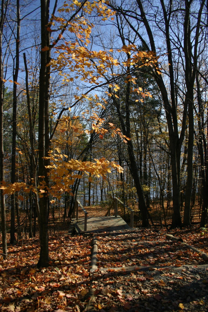 Bonnenfant Y Outdoor Education and Leadership Centre | 1620 Sixth Line Rd RR #1, Dunrobin, ON K0A 1T0, Canada | Phone: (613) 832-1234