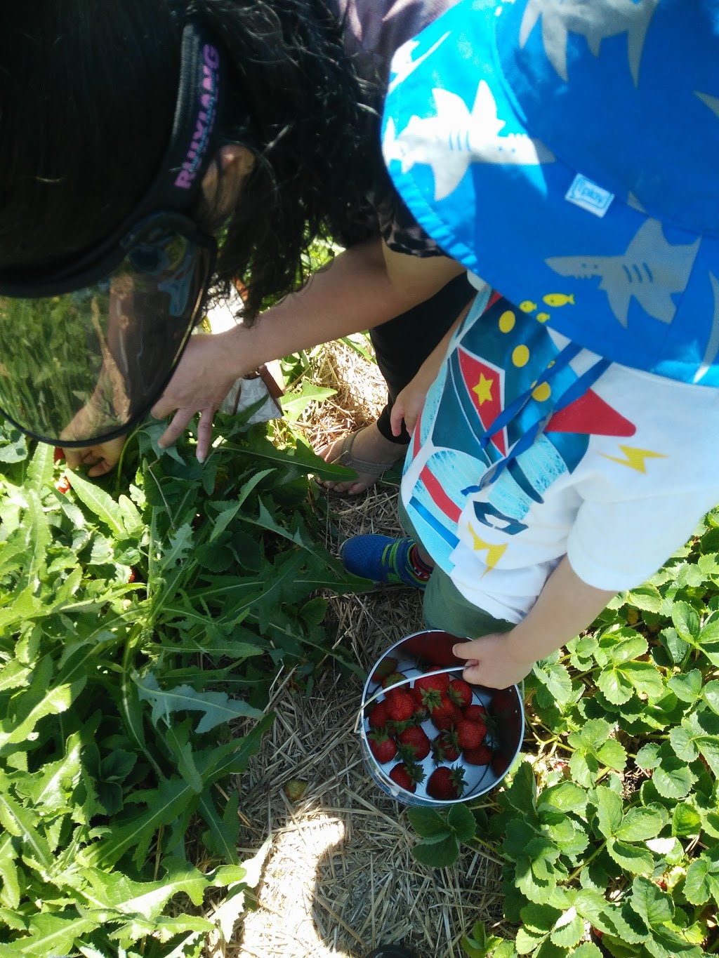 Littles Park | 30 Littles Rd, Scarborough, ON M1B 5C5, Canada