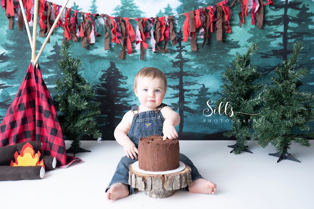 Sills Photography | 505 Mill St, Neustadt, ON N0G 2M0, Canada | Phone: (519) 369-1457