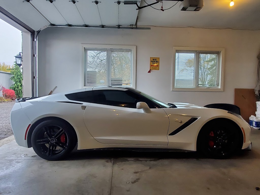 The Tint Company | 429 Wharncliffe Rd S, London, ON N6J 2M6, Canada | Phone: (519) 520-3269