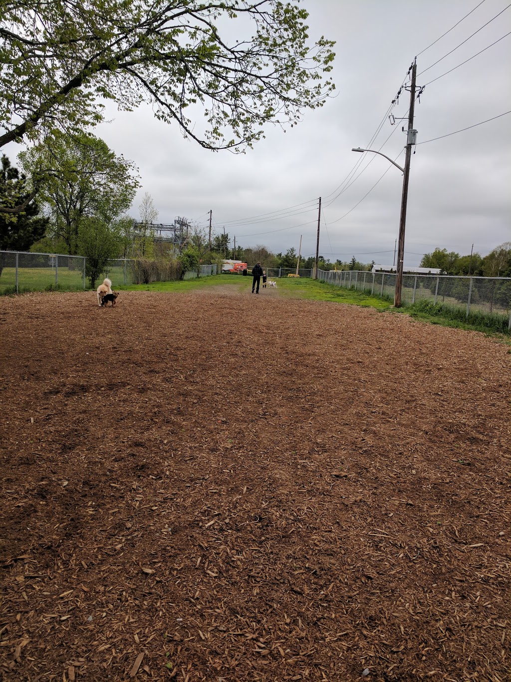 Carleton Place Dog Park | 430 Edmond St N, Carleton Place, ON K7C 3G2, Canada | Phone: (613) 257-1005
