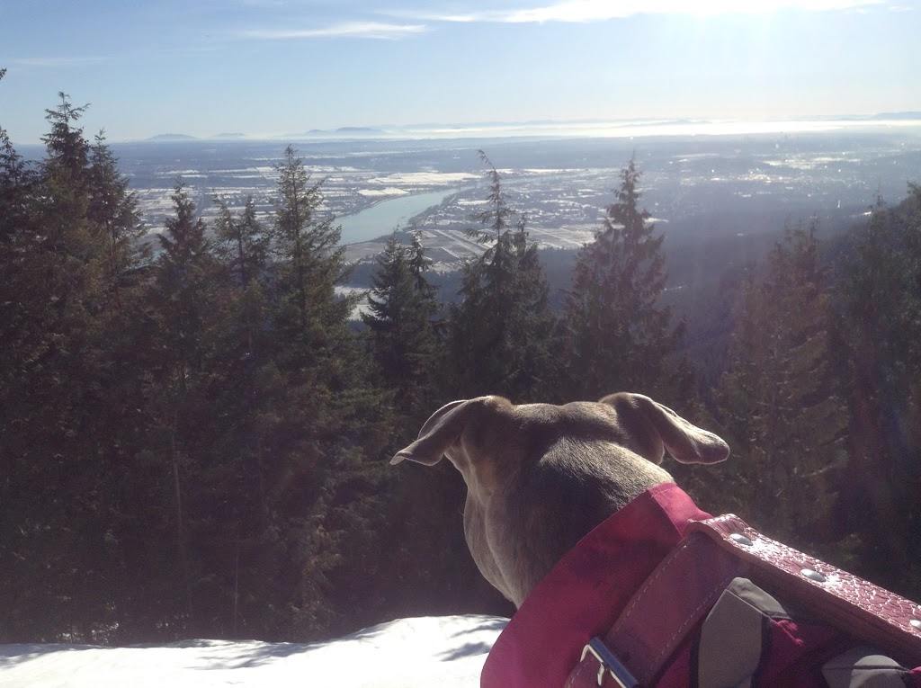 Munro Lake Trail Lookout | Coquitlam, BC V3E 3H1, Canada