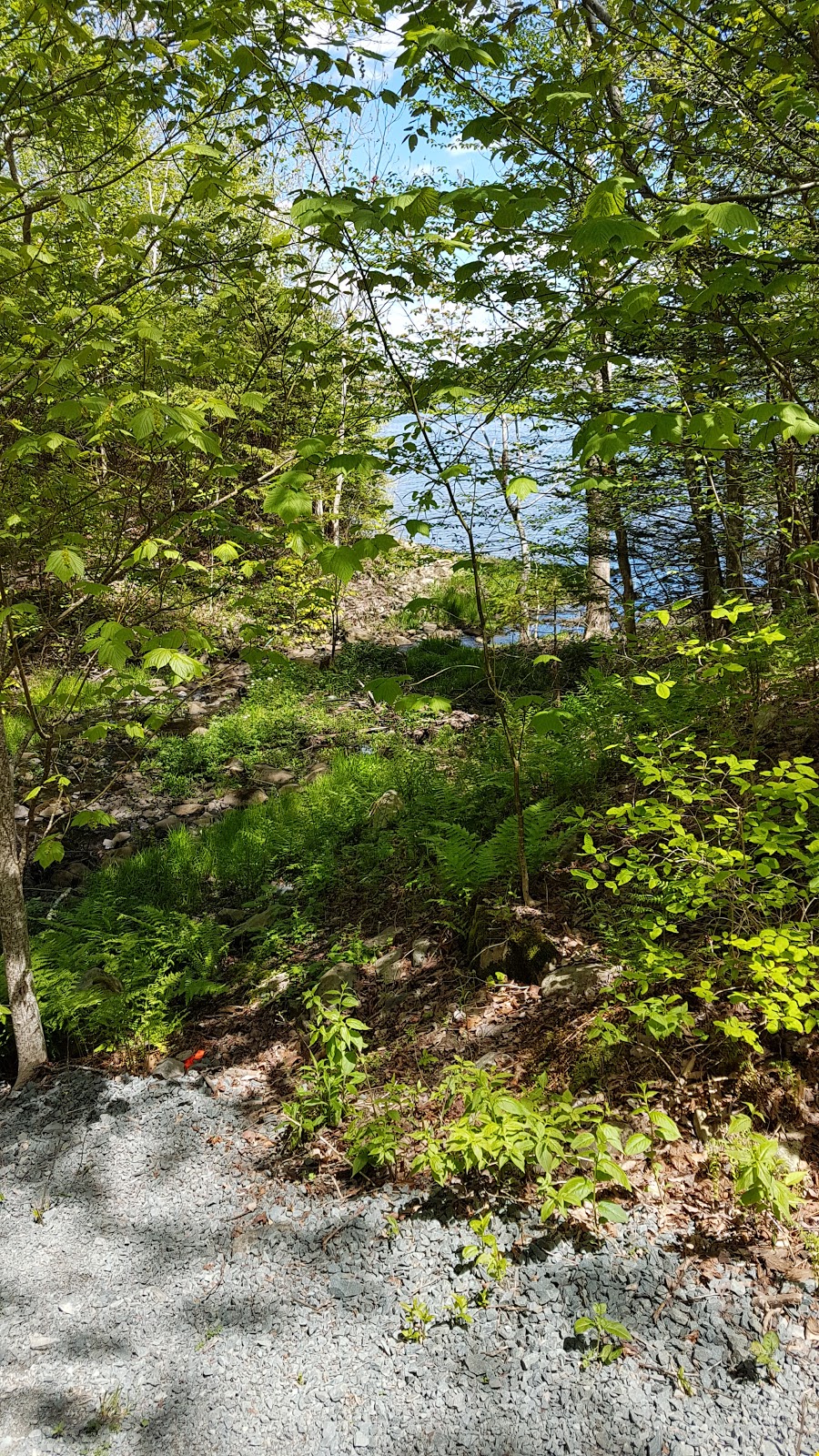 Cole Harbour Heritage Park Cole Harbour, NS B2V, Canada