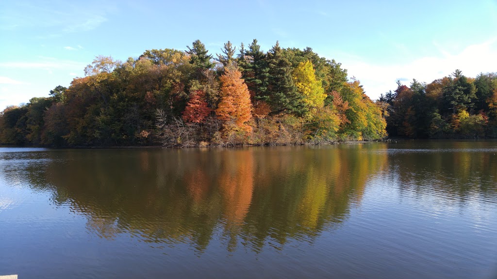 Shady Acres Picnic Grounds | Dundas, ON L9H 5E2, Canada | Phone: (905) 628-3060